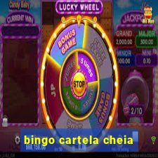 bingo cartela cheia