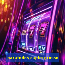 paratodos capim grosso