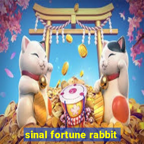 sinal fortune rabbit