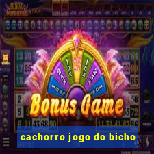 cachorro jogo do bicho