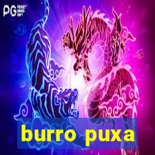 burro puxa