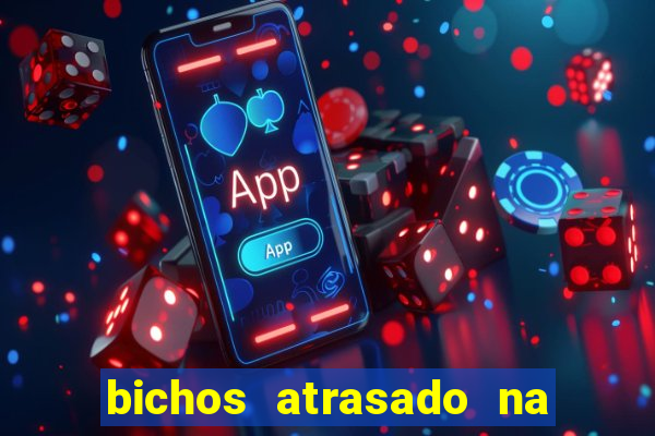 bichos atrasado na loteria dos sonhos