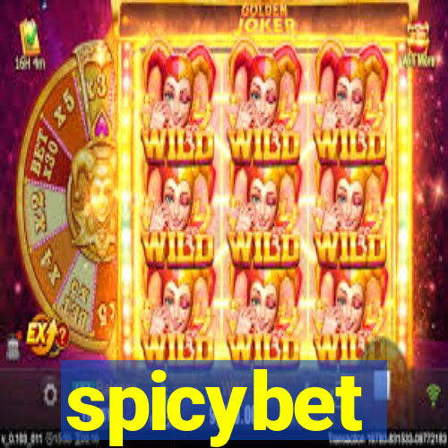 spicybet-3.com