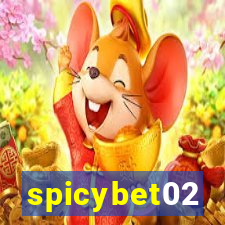 spicybet02