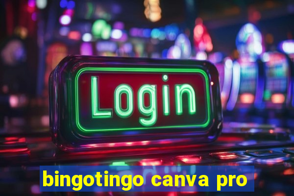 bingotingo canva pro