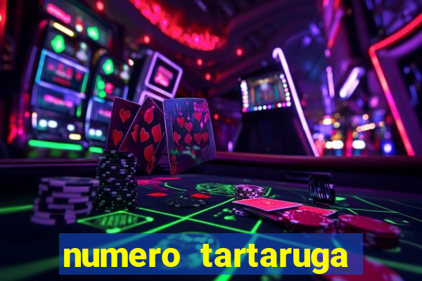 numero tartaruga jogo do bicho