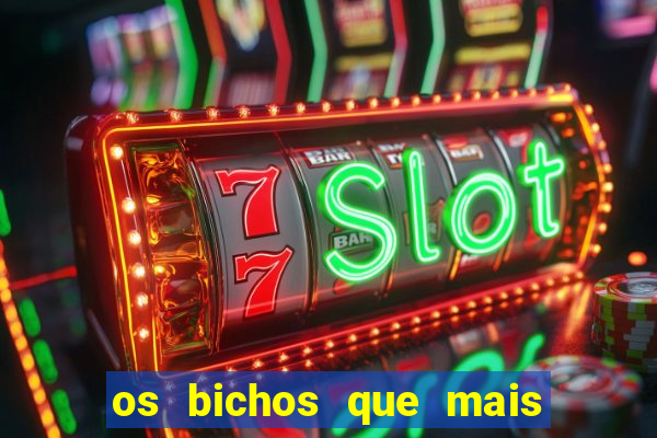 os bichos que mais saem na loteria federal