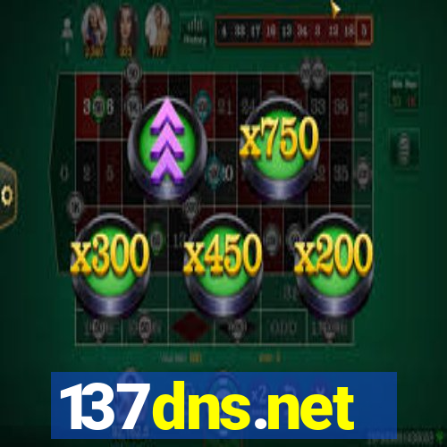 137dns.net