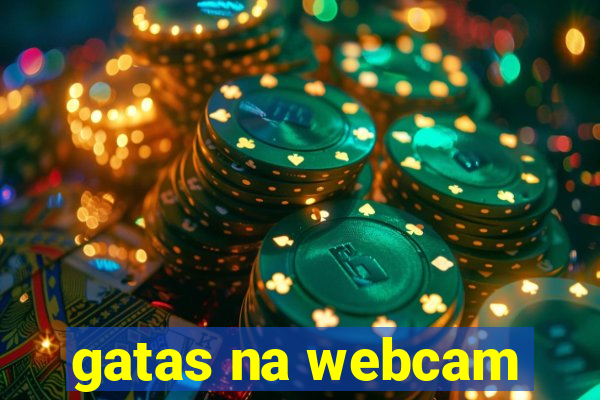 gatas na webcam