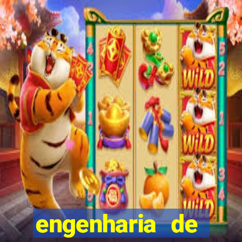 engenharia de software ead vale a pena
