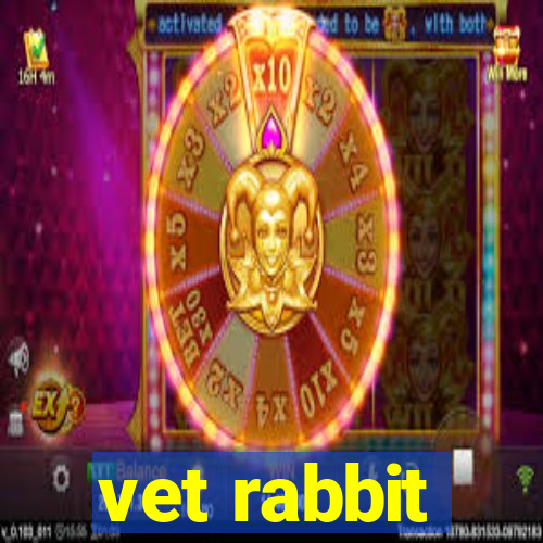 vet rabbit