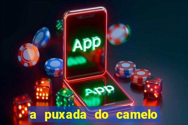 a puxada do camelo no jogo do bicho