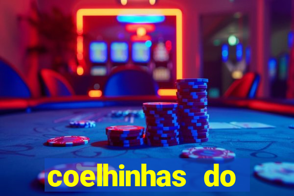 coelhinhas do brasil recife