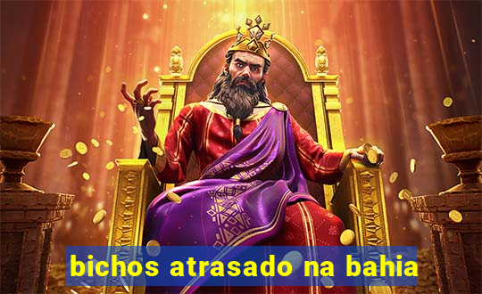 bichos atrasado na bahia
