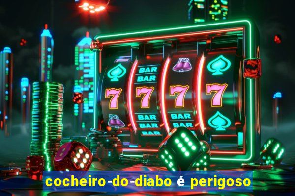 cocheiro-do-diabo é perigoso