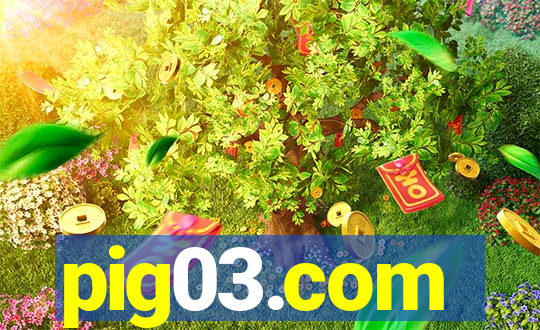 pig03.com