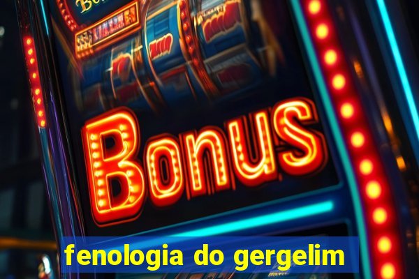 fenologia do gergelim