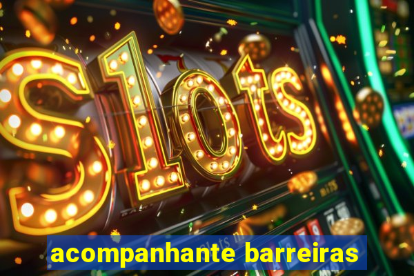 acompanhante barreiras