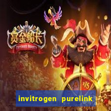 invitrogen purelink genomic dna mini kit