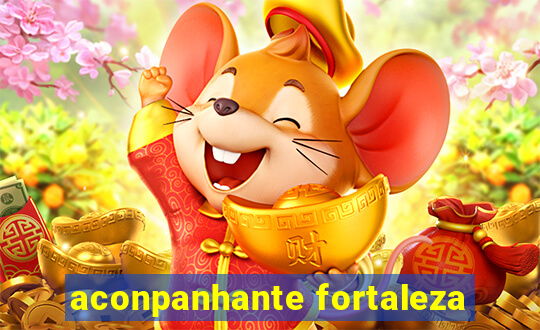 aconpanhante fortaleza
