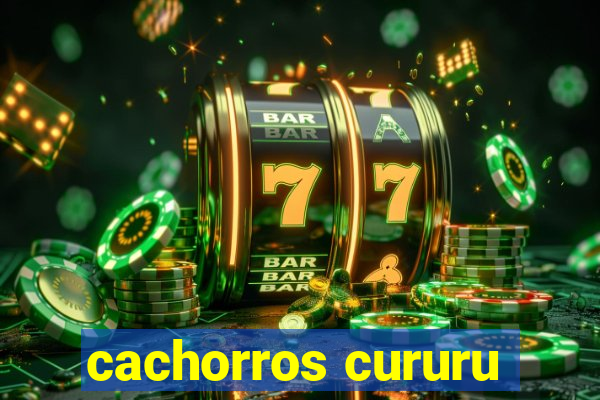 cachorros cururu