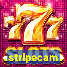 stripecam