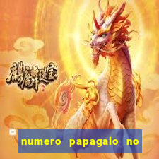 numero papagaio no jogo do bicho