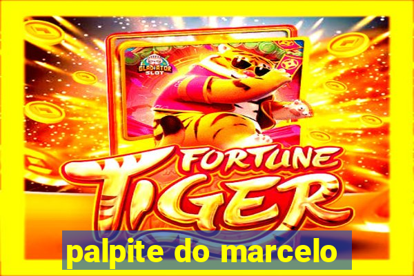 palpite do marcelo