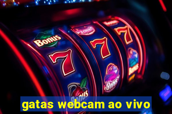 gatas webcam ao vivo