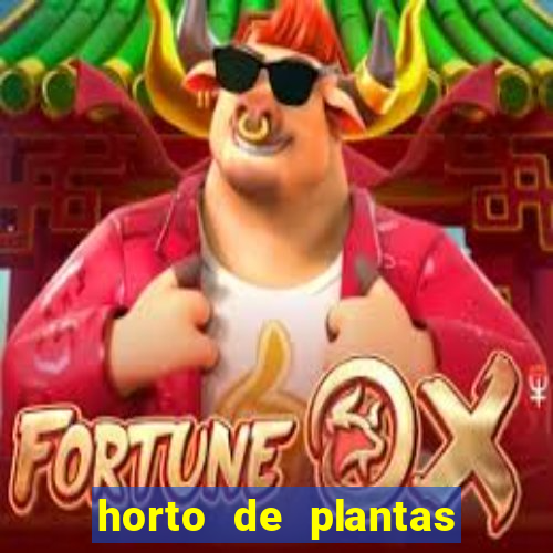 horto de plantas em salvador bahia