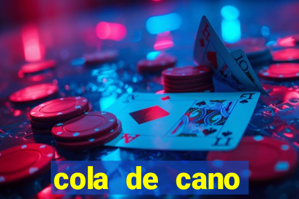 cola de cano quanto tempo para secar