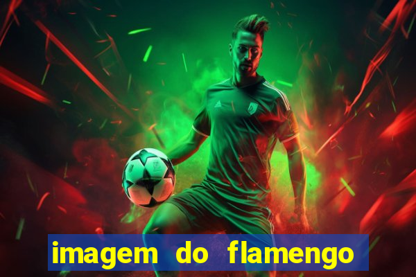 imagem do flamengo para perfil