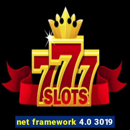 net framework 4.0 3019