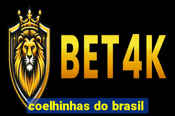 coelhinhas do brasil